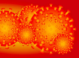 coronavirus